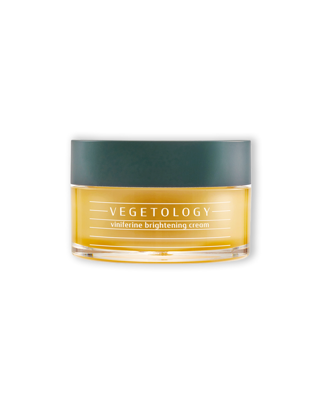Crema coreana hidratante e iluminadora Vegetology Yaksok Cosmetics