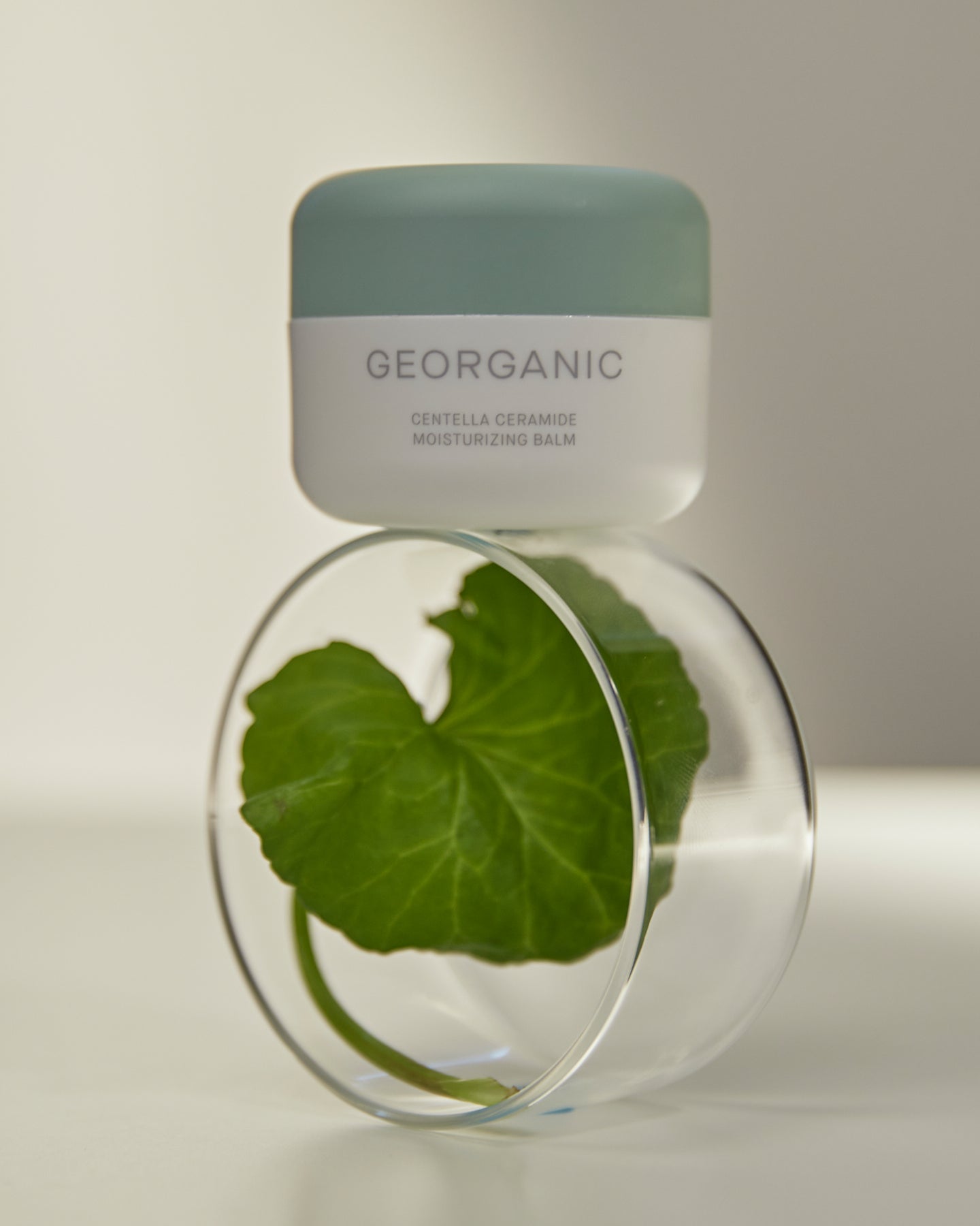 Crema coreana hidratante Georganic