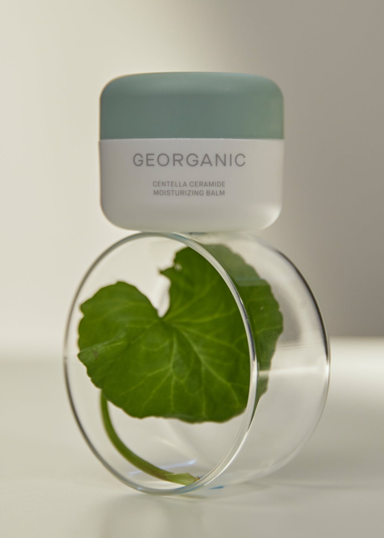 Crema coreana hidratante Georganic