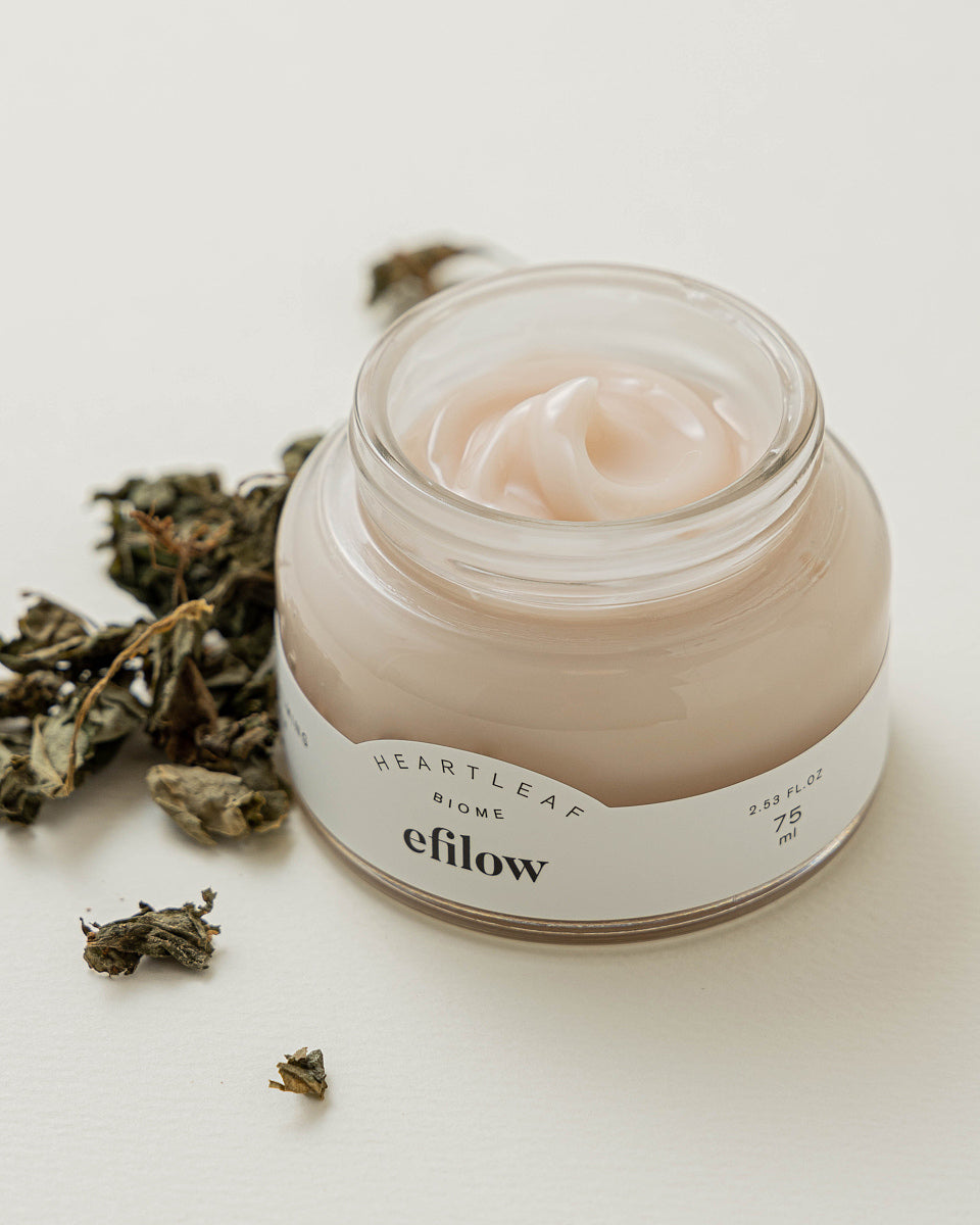 Crema coreana hidratante Efilow