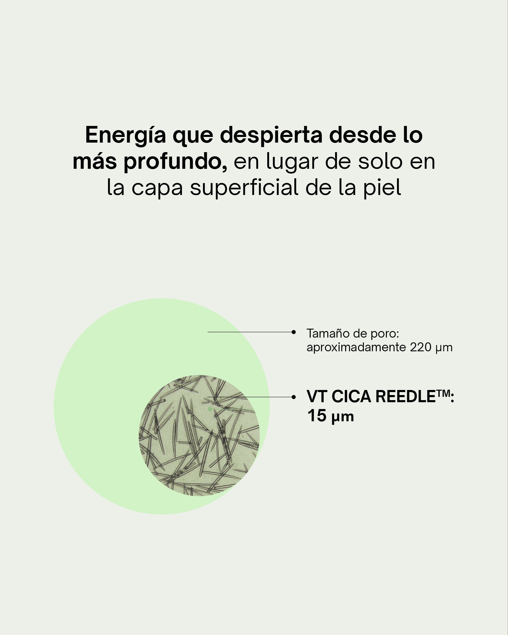 Guía Reedle Shot VT Cosmetics Yaksok Cosmetics