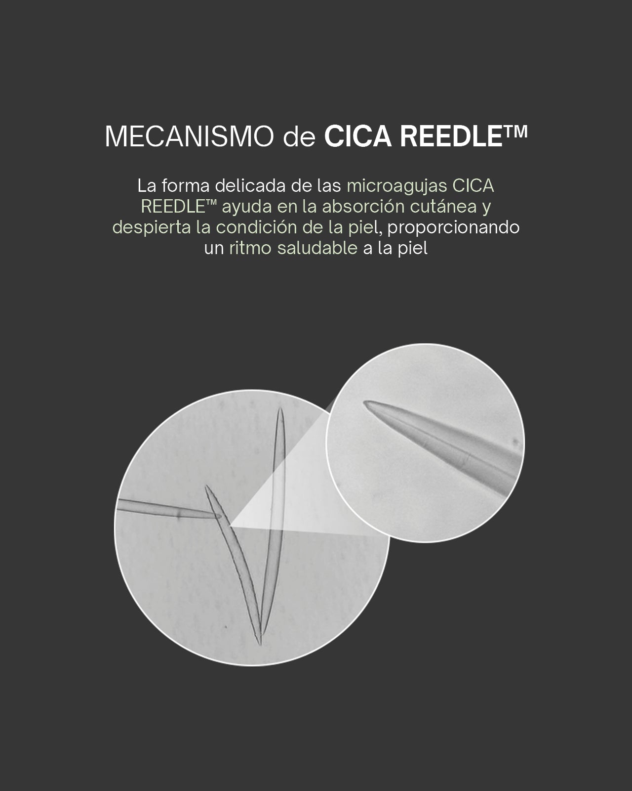 Guía Reedle Shot VT Cosmetics Yaksok Cosmetics